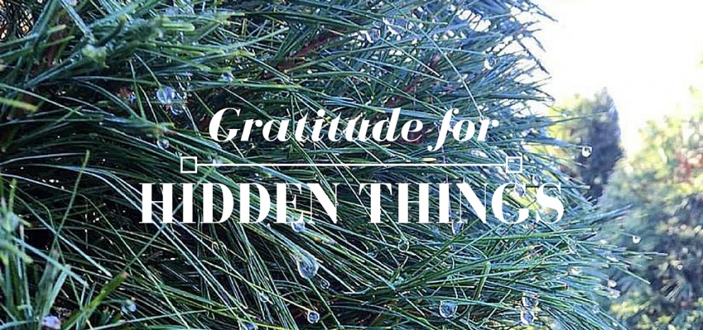Gratitude for Hidden Things - Advent post on Literate Theology / Kate Rae Davis