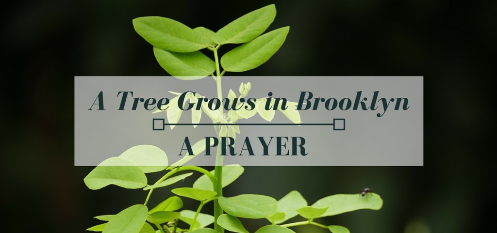 A prayer for full humanity in "A Tree Grows in Brooklyn" - read in Literate Theology / KateRaeDavis.com