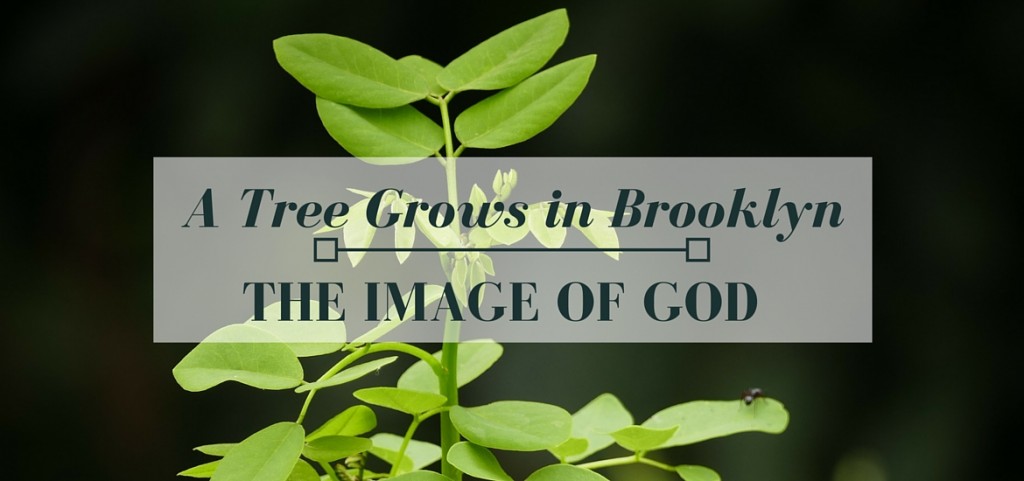 Finding the Image of God in "A Tree Grows in Brooklyn" - read on Literate Theology / Kate Rae Davis